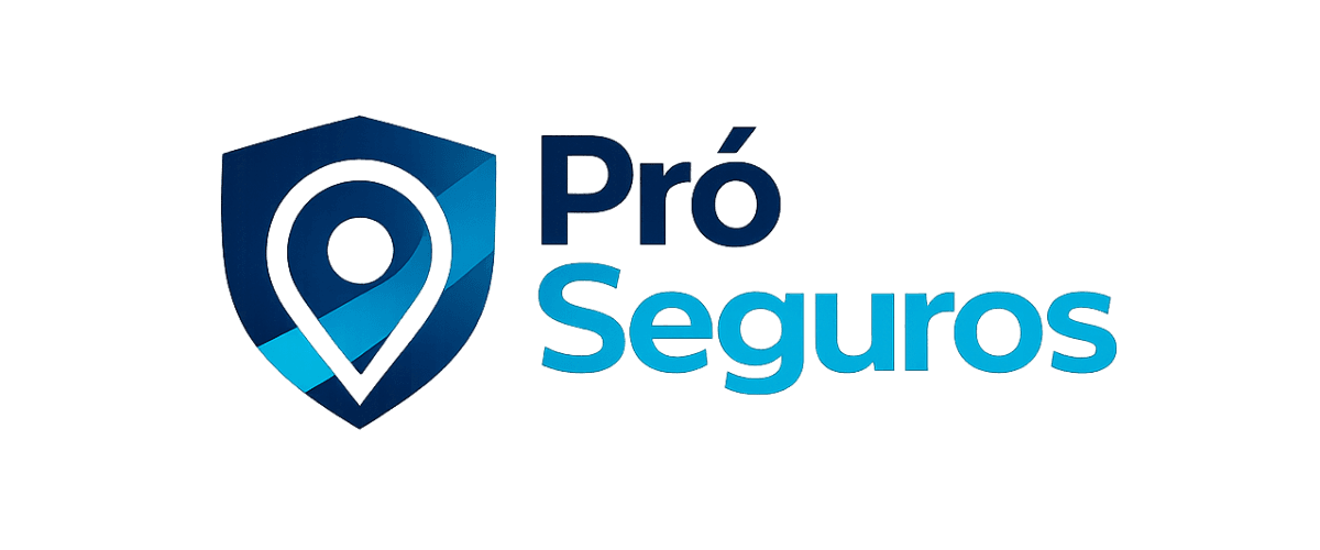 Representante Autorizado Ituran